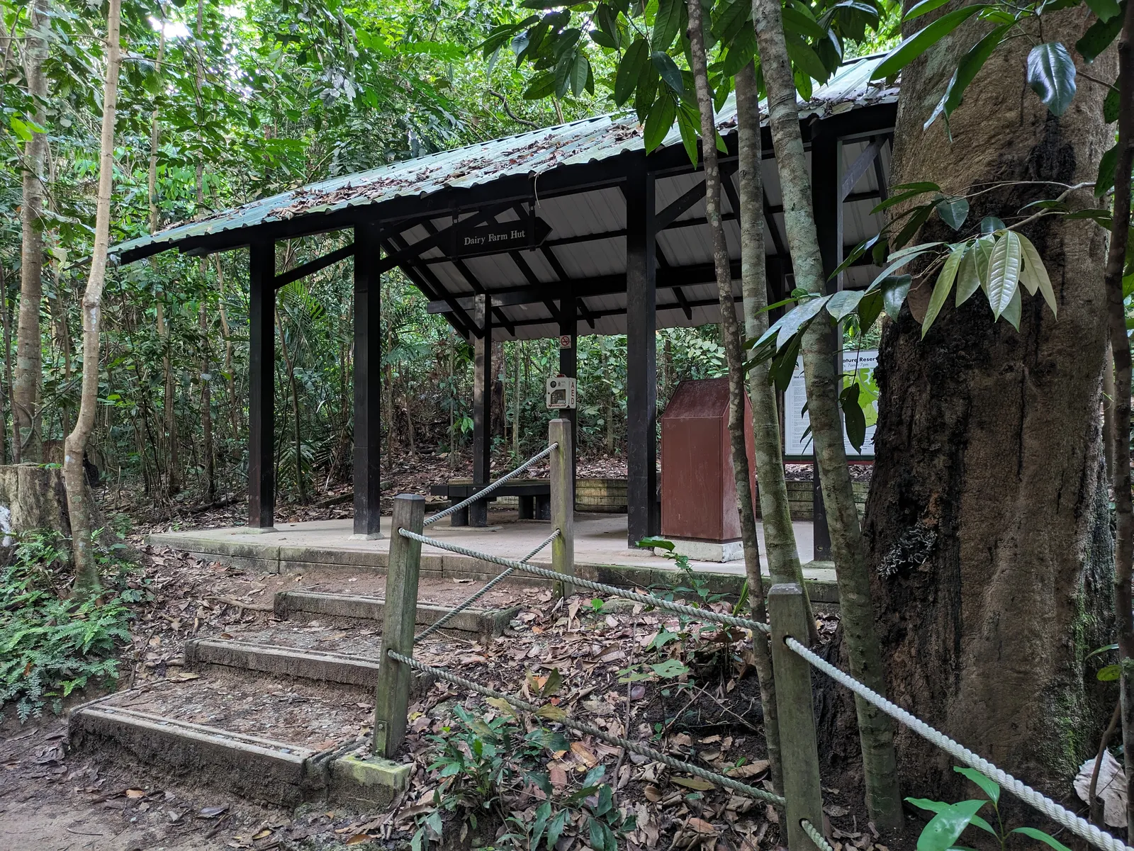 Dairy Farm Nature Park greenery near Solano Grand EC, Senja Close, Bukit Panjang District 23